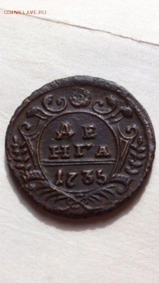 1735 ДЕНЬГА ВСЕ ПЕРЬЯ НА МЕСТЕ оценка - 5