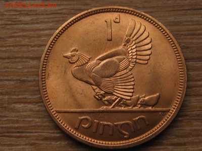 Ирландия 1 пенни 1968 глухарь UNC до 16.03.16 в 21.00 М - IMG_9433.JPG