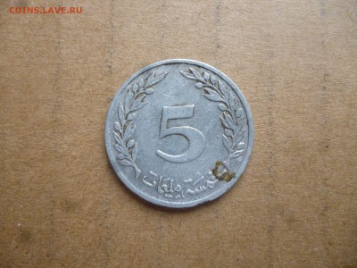 ТУНИС 5 миллимов 1960г. до 19.03.16 22-00 мск - P1040377.JPG