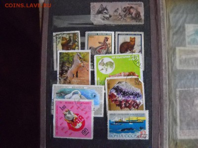 альбом с марками - DSCN7968[1].JPG