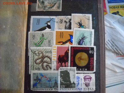 альбом с марками - DSCN7971[1].JPG