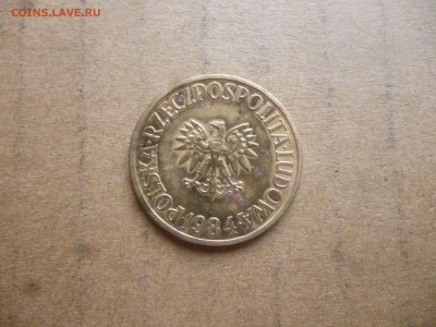 ПОЛЬША 5 злотых 1984г. до 19.03.16 22-00 мск - P1040374.JPG