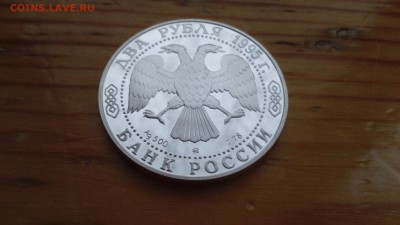 2 рубля 1995 Грибоедов 15.03 22-00 - DSC_0032.JPG