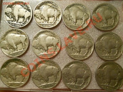 Оценка Buffalo 5 центов, 12 штук. 20 - 30 ые годы - DSCN0266.JPG