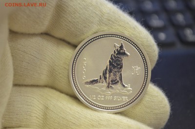 Австралия 50 центов 2006 Год собаки, серебро до 19.03 - DSC_0002.JPG
