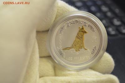 Австралия 1 доллар 2006 Собака Позолота ПРУФ до 18.03 - DSC_0014.JPG