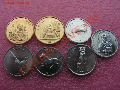 -Нагорный Карабах- сет 7 2004(фауна) -- 26,10 22-00 - PICT0772.JPG