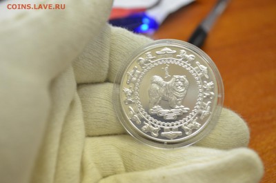 Монголия 2006 Ag 500 тугриков год собаки Серебро до 18.03 - DSC_0009.JPG
