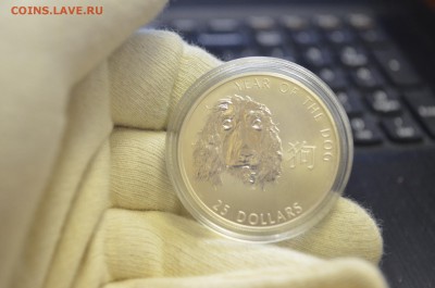 Соломоновы Острова 25 долларов 2006 г. Серебро до 18.03 - DSC_0001.JPG
