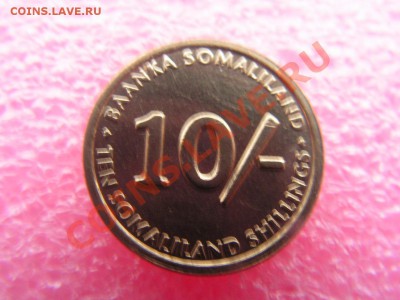-Сомалиленд- 10 шиллинг 2002(фауна) -- 27,10 22-00 - бибизьян (1).JPG