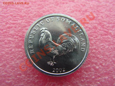 -Сомалиленд- 5 шиллинг 2002(фауна) -- 27,10 22-00 - пятух.JPG