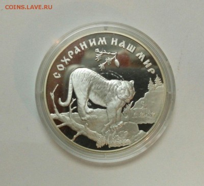 3 рубля 1996г Сохраним наш мир Амурский тигр до 21.03 с 200р - VgwzvnNkyZU