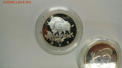 1р 1997 Зубр Фламинго Джейран Красная книга до 21.03 с 200р - P3sVxRgT7FY