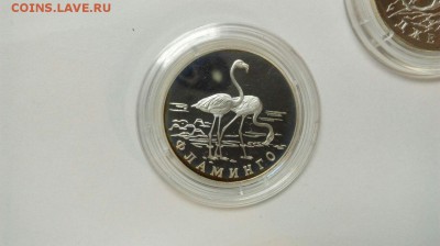 1р 1997 Зубр Фламинго Джейран Красная книга до 21.03 с 200р - mCHpPlN8Fp4