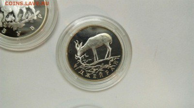 1р 1997 Зубр Фламинго Джейран Красная книга до 21.03 с 200р - EUH1DswYpjo