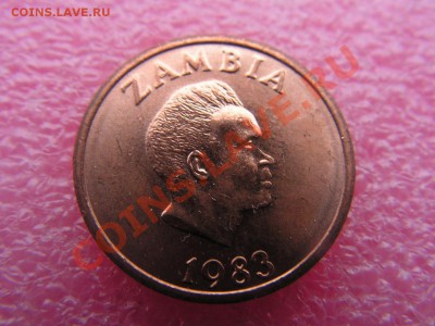-Замбия- 2 нгвее 1983(фауна) -- 27,10 22-00 - PICT0762.JPG