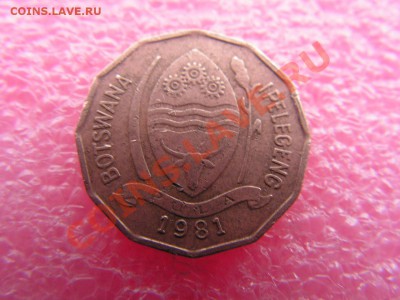 -Ботсвана- 2 тхебе 1981(флора) -- 27,10 22-00 - PICT0821.JPG