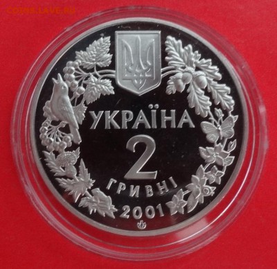 Украина 2001 Фауна - Рысь_1 до 19.03.2016г 22-00 - DSC05566.JPG