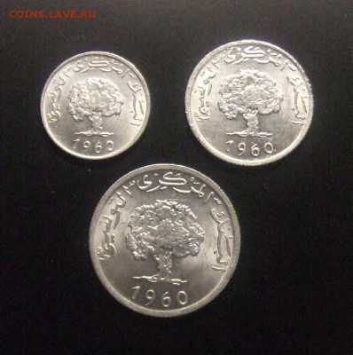 2 - Тунис (набор - 1,2 и 5 миллим; дуб; алюм.) (3 шт.) А