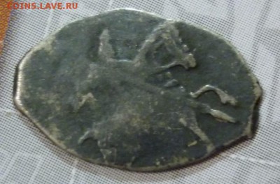 чешуя, определение и оценка - P1080054.JPG