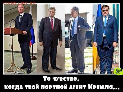 События на Украине. - портной