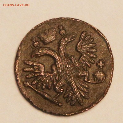 1735 ДЕНЬГА ВСЕ ПЕРЬЯ НА МЕСТЕ оценка - 7
