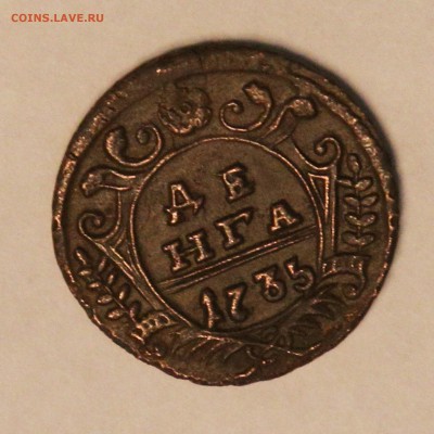 1735 ДЕНЬГА ВСЕ ПЕРЬЯ НА МЕСТЕ оценка - 8