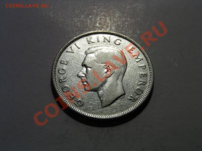 Новая Зеландия, полкроны 1944 - 26 октября 22-00 - полукрона44а.JPG