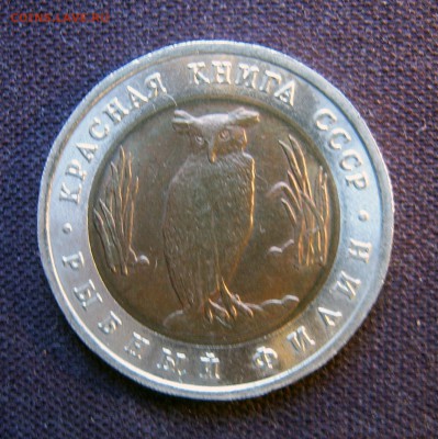 Красная книга 1991 (Рыбный филин и Винторогий козёл) - Филин-1