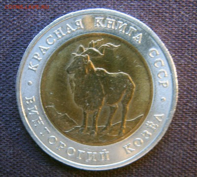 Красная книга 1991 (Рыбный филин и Винторогий козёл) - Козёл-1-1