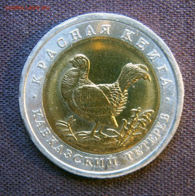 Красная книга 50 руб 1993 Кавказский тетерев - Тетерев-2