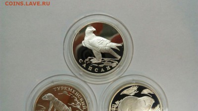 1р 1996 Сапсан Зублефар Слепыш Красная книга до 21.03 с 200р - 2HmguPkVXuc