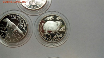 1р 1996 Сапсан Зублефар Слепыш Красная книга до 21.03 с 200р - QJqGK8i9ca0