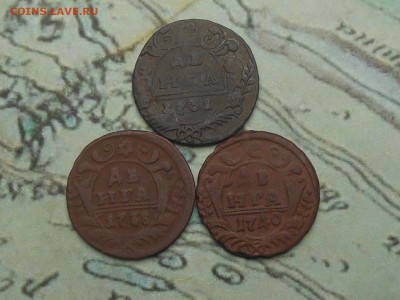 денга 1731,38,40 до 21.03.2016 в 22-00 МСК - RSCN6111.JPG