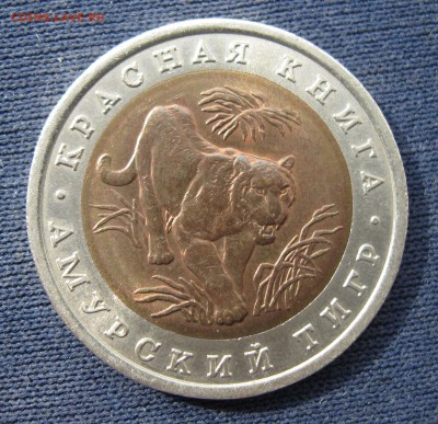 Красная книга 1992 амурский тигр до 22.03.16 - Тигр_01