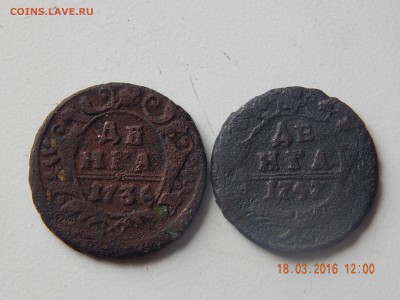 деньга 1736, 1747 г. на оценку - DSCN3767.JPG