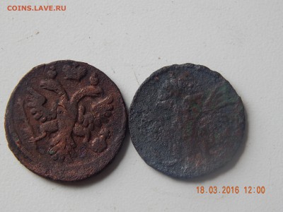 деньга 1736, 1747 г. на оценку - DSCN3768.JPG