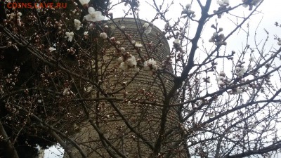 Баку, Азербайджан - 20160316_130903
