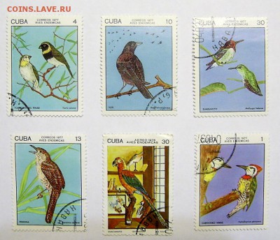 Куба. Птицы. 1977-78г (2) от 35р - Куба Птицы  (2)