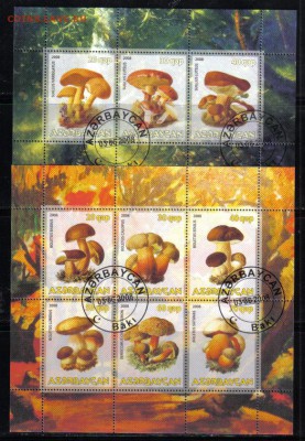 Азербайджан 2008г мл Грибы до 21.03 22.00мск - Азербайджан 2008г мл Грибы