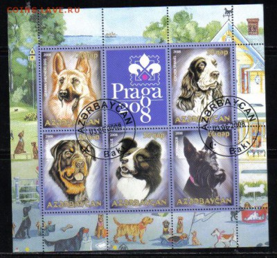 Азербайджан 2008г мл Собаки до 21.03 22.00мск - Азербайджан 2008г мл Собаки
