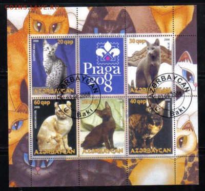 Азербайджан 2008г мл Кошки до 21.03 22.00мск - Азербайджан 2008г мл Кошки