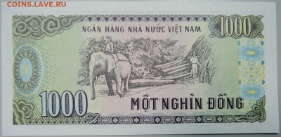 ВЬЕТНАМ - 1000 донгов 1988 г. пресс до 26.03 в 22.00 - DSCN3500.JPG