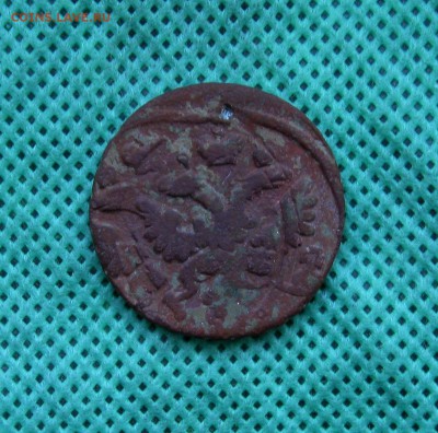 Деньга 1737г. Брак-"Орёл трёхголвый"д 24.03.2016г. 22:00 МСК - IMG_8107.JPG