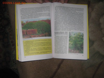 Книга " Хвойные растения в дизайне сада" до 25 03 2016 - IMG_3550.JPG