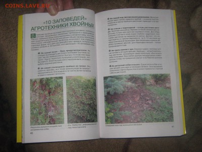 Книга " Хвойные растения в дизайне сада" до 25 03 2016 - IMG_3549.JPG