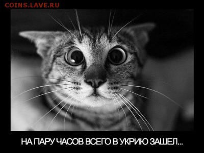 События на Украине. - косяк