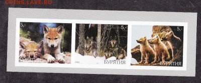 Бурятия 2000 волки - 32