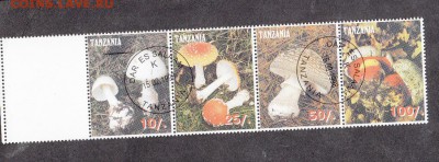 Танзания 1998 грибы - 38