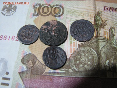 Семь монет Петра I до 23.03.2016 - 1.JPG